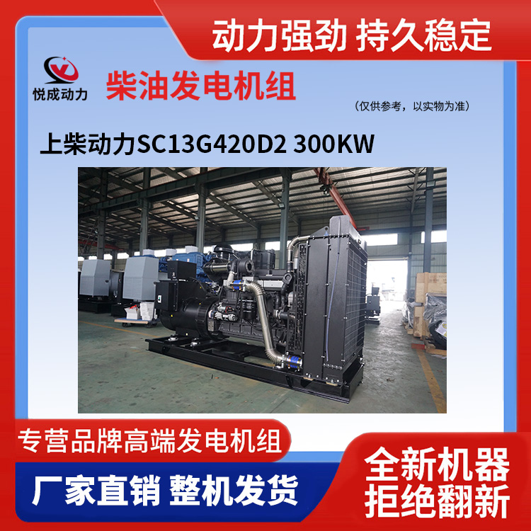 上柴動(dòng)力SC13G420D2 300KW 3.jpg